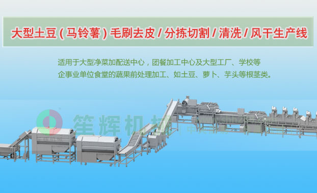 垦利连续式土豆去皮清洗切割风干生产线